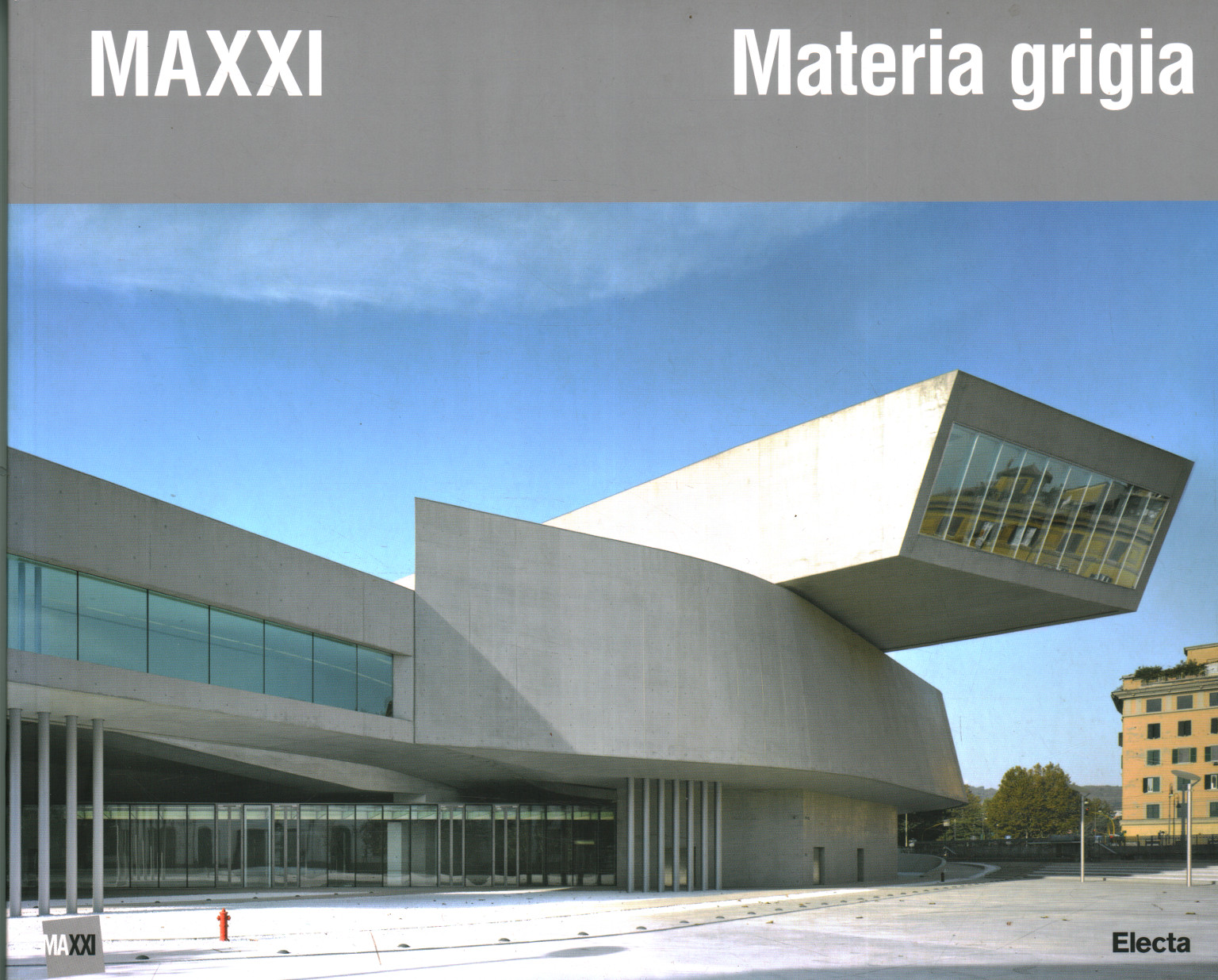 Maxxi materia grigia