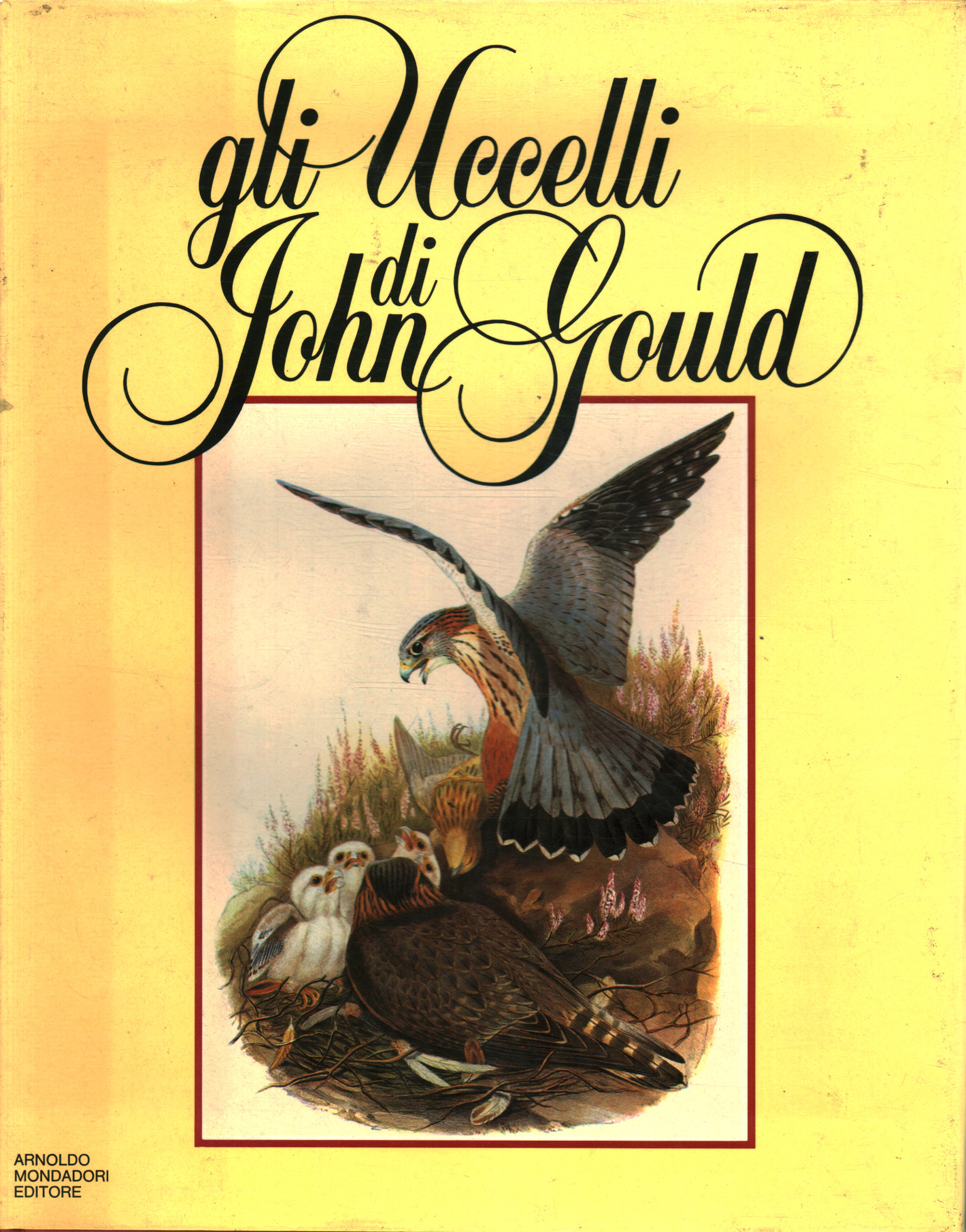 John Goulds Vögel