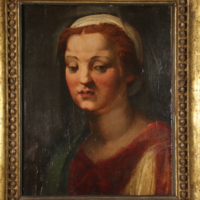 Testa Femminile Andrea del Sarto ambito di