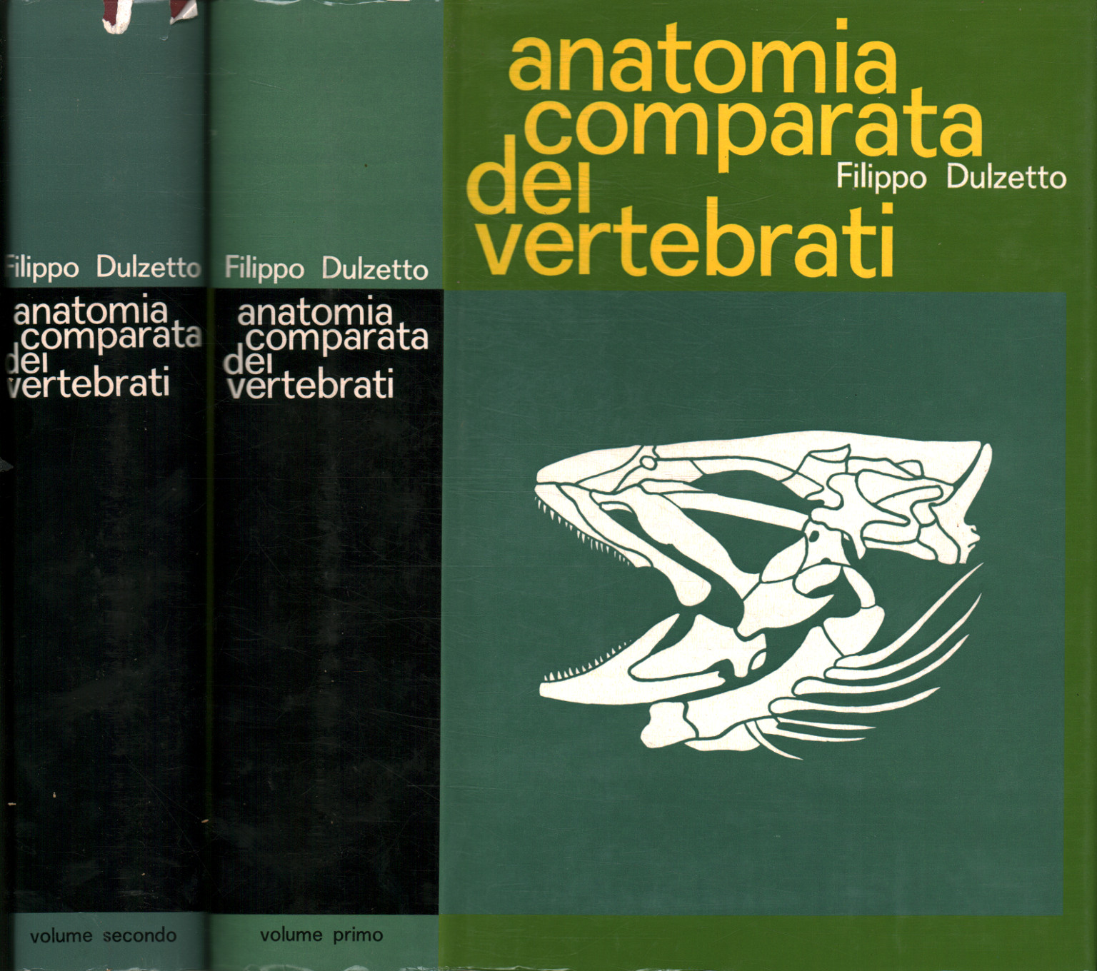 Anatomie comparée des vertébrés (2 Vol.