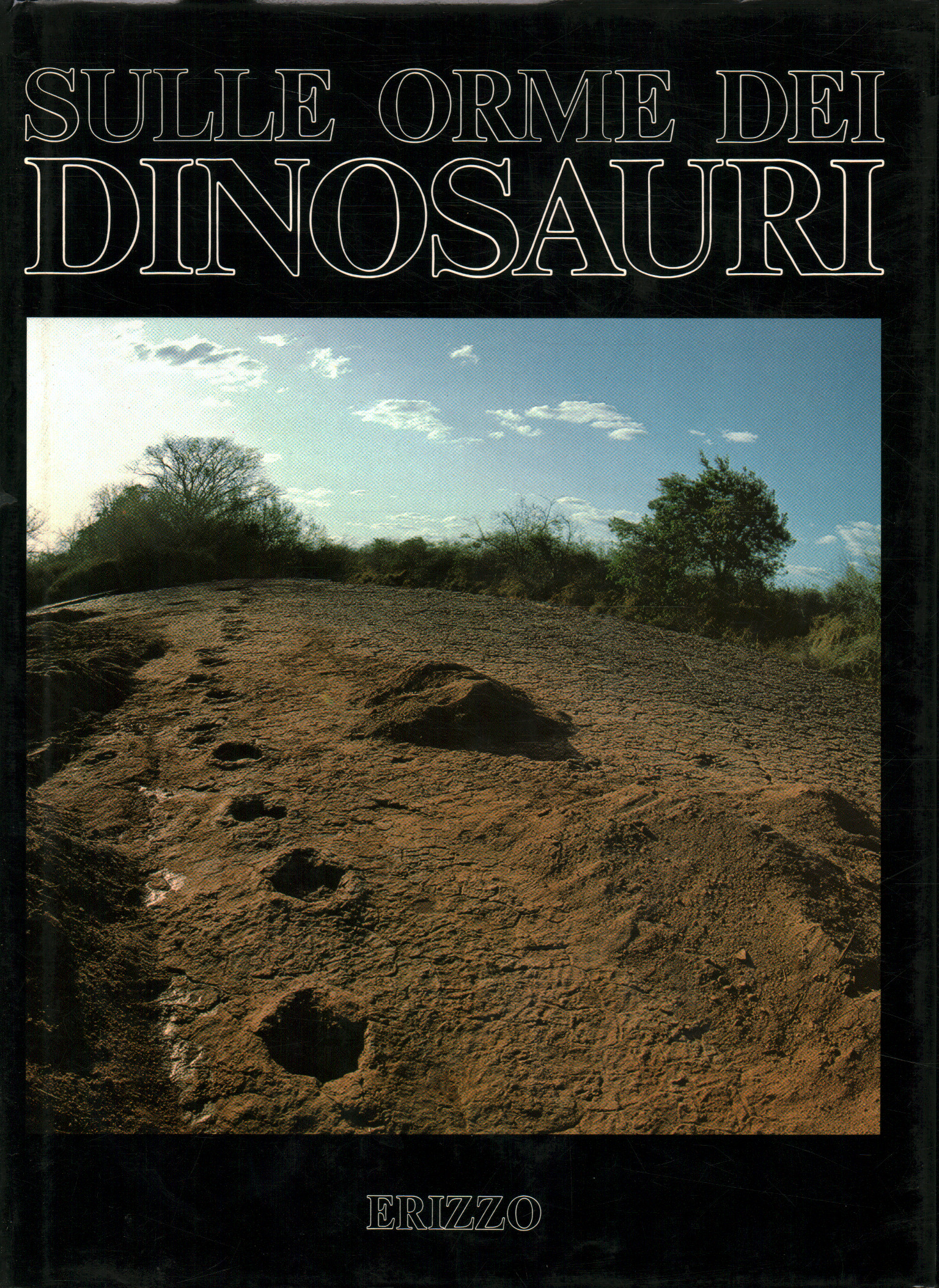 Tras las huellas de los dinosaurios