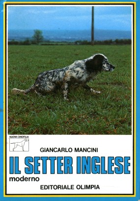 Il setter inglese moderno