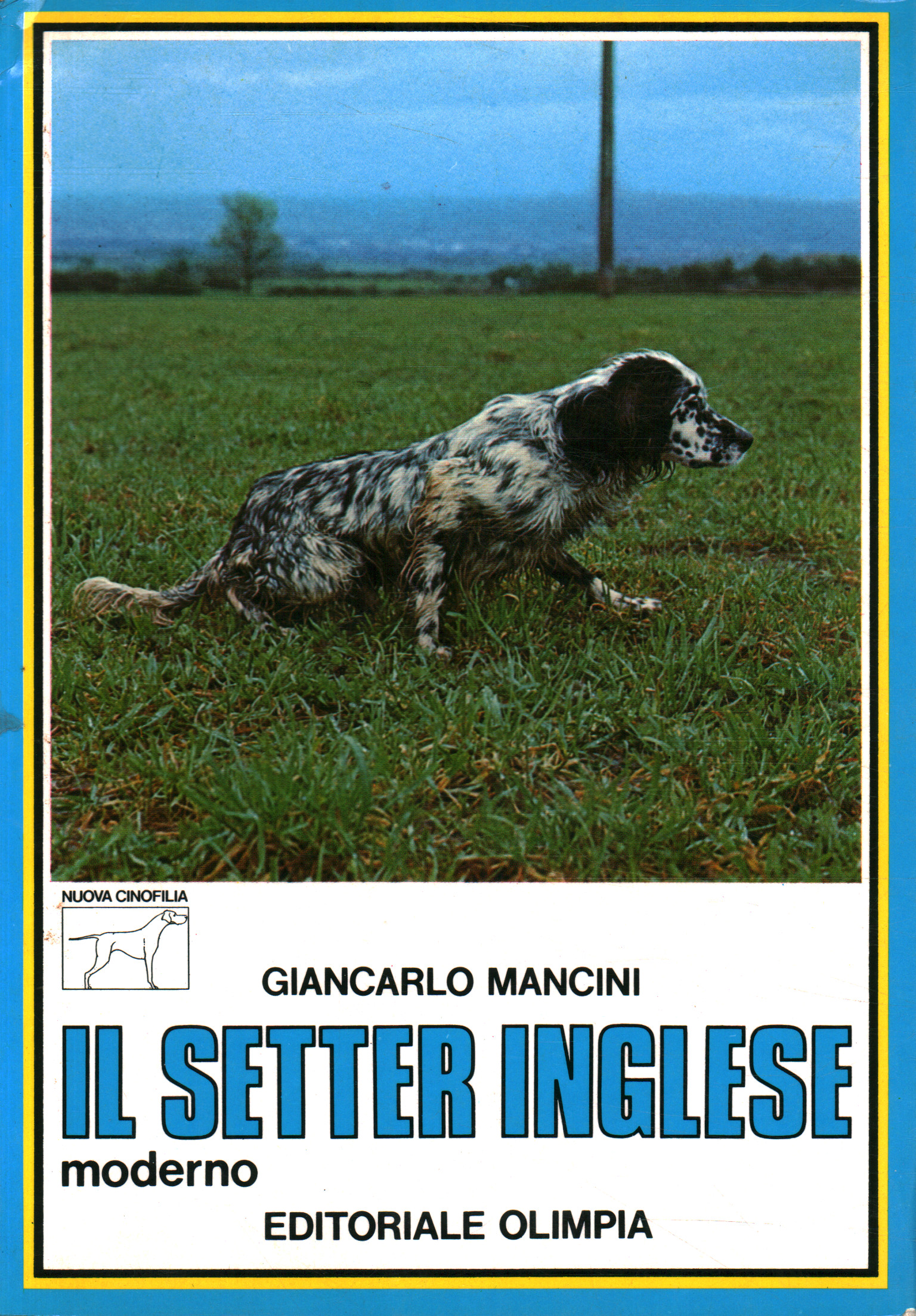 The modern English setter