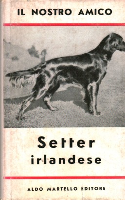 Il nostro amico Setter irlandese