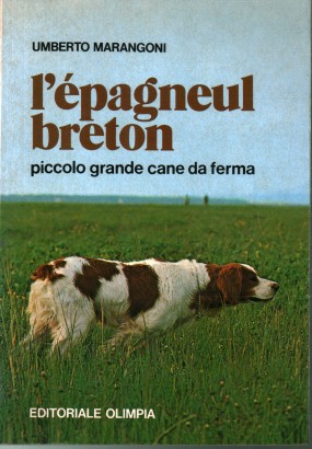 L'épagneul breton. Piccolo-grande cane da ferma