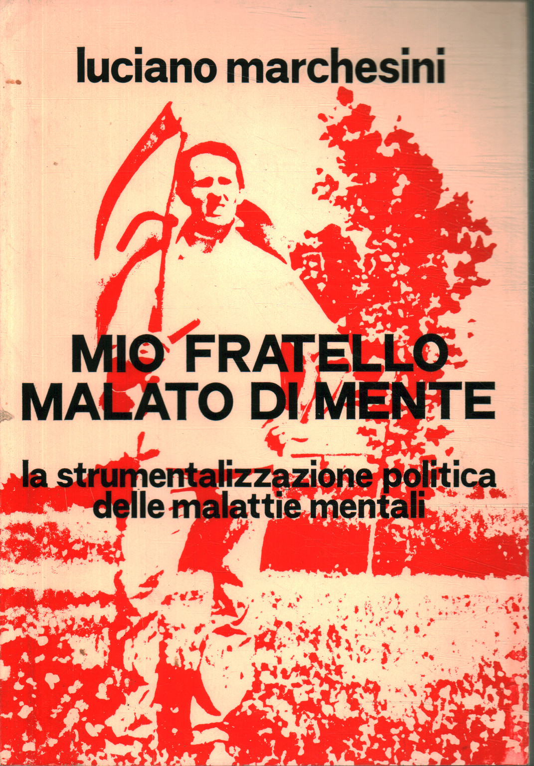 Mio fratello malato di mente