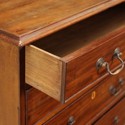 Small George IV Chest of Drawers Mahogany England XIX Century