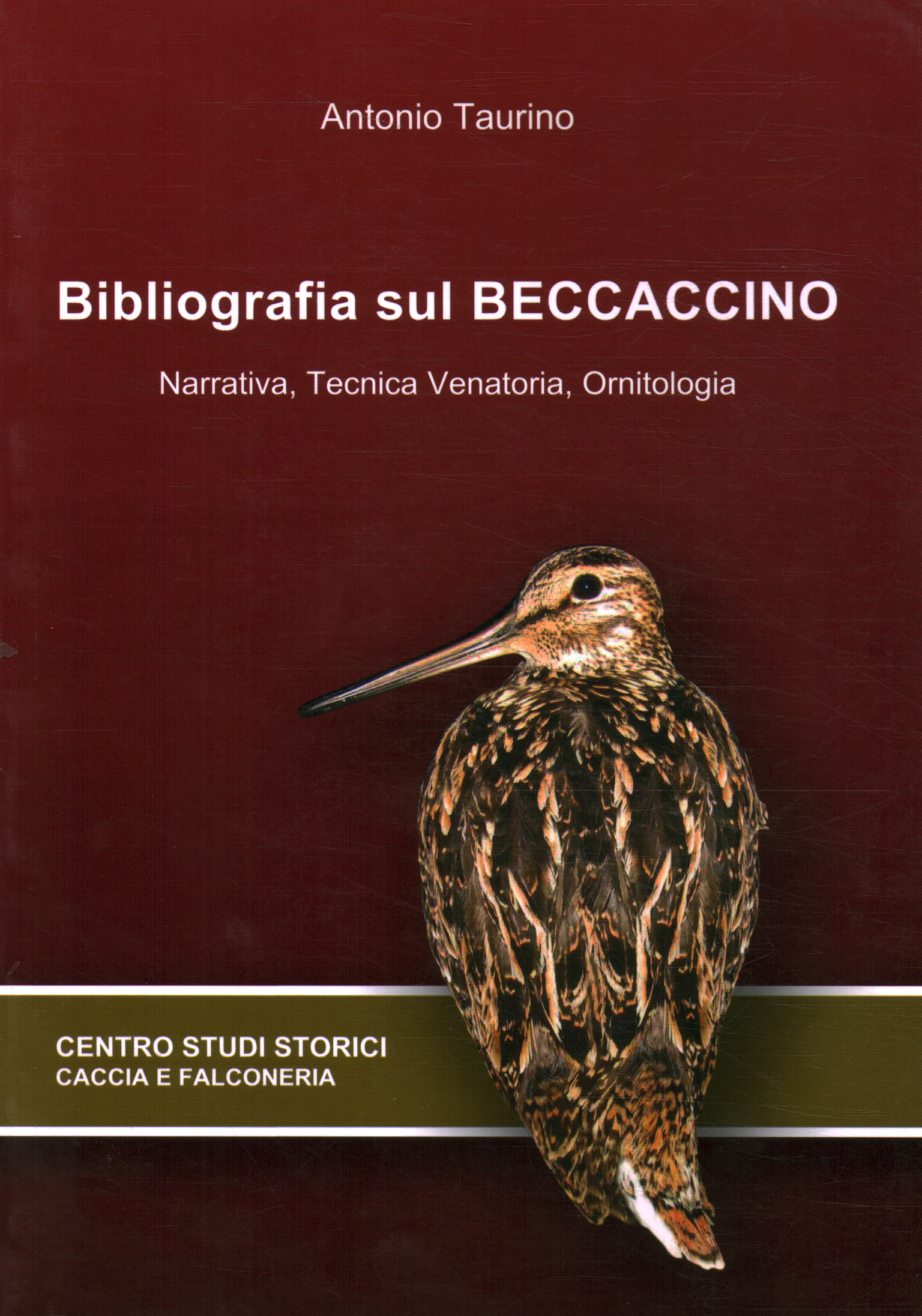 Bibliography on the snipe