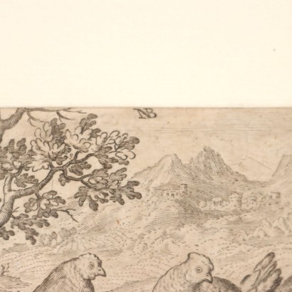 Incisione di Nicolas De Bruyn 1594,Tre galline e due galli,Incisione di Nicolas De Bruyn 1594,Nicolaes De Bruyn,Incisione di Nicolas De Bruyn 1594,Nicolaes De Bruyn,Nicolaes De Bruyn