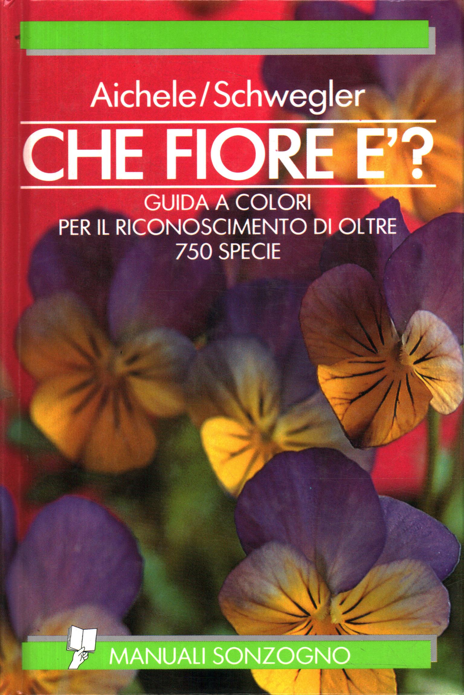 Che fiore è?