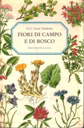 Fiori di campo e di bosco