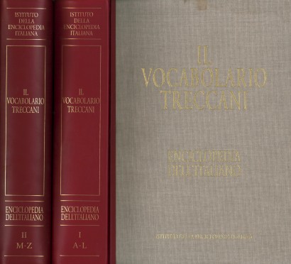 Il vocabolario Treccani. Enciclopedia dell'italiano (2 Volumi)