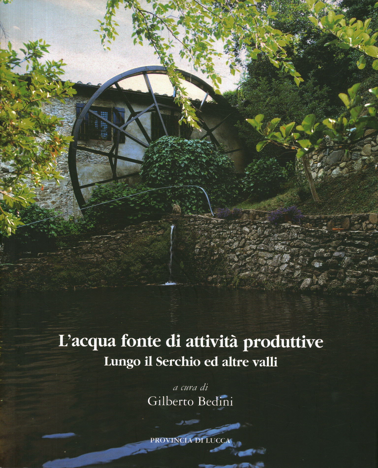 L'acqua fonte di attività