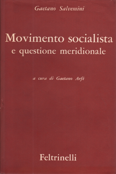 El movimiento socialista y la cuestión del sur