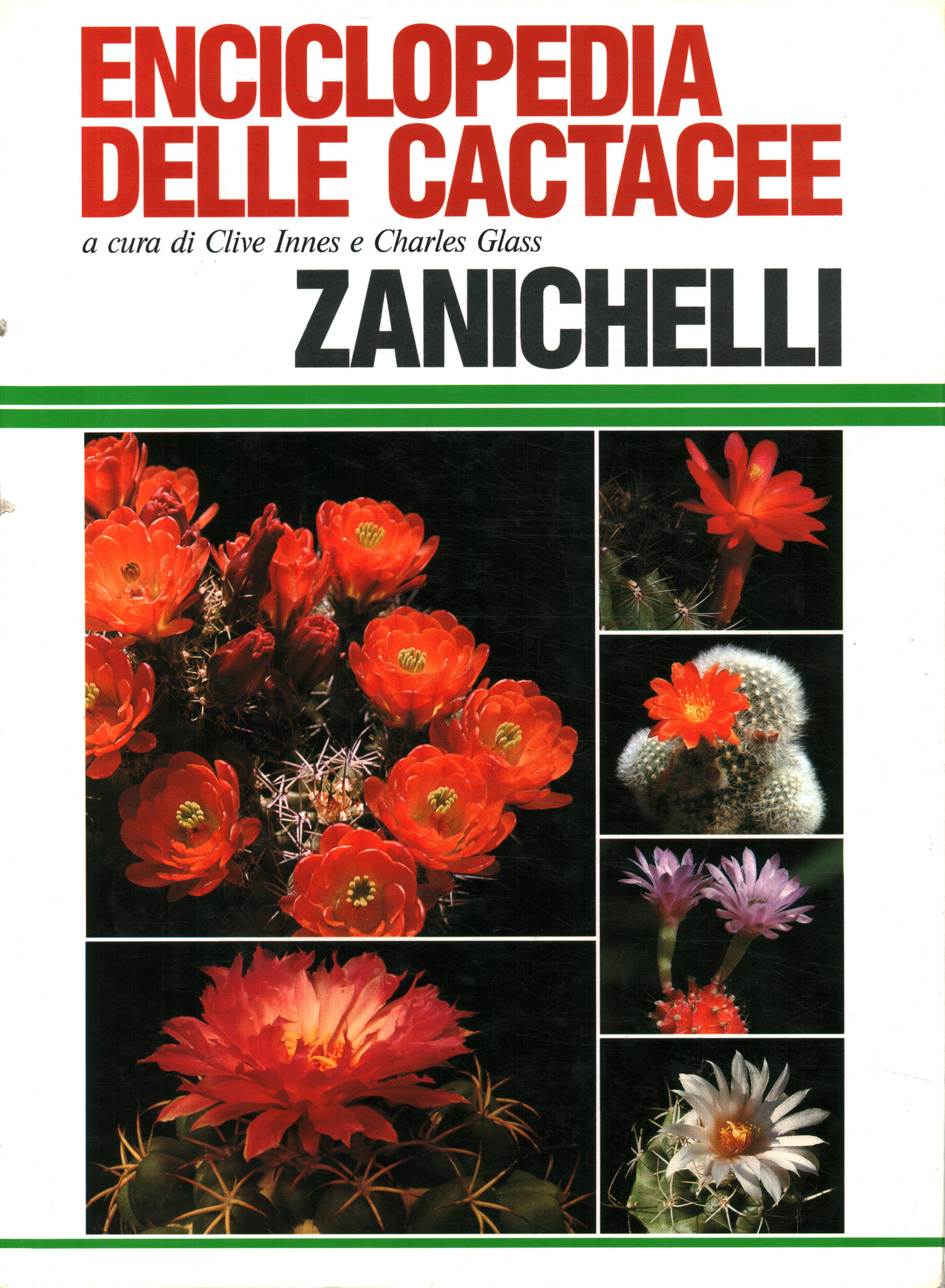 Cactaceae Encyclopedia
