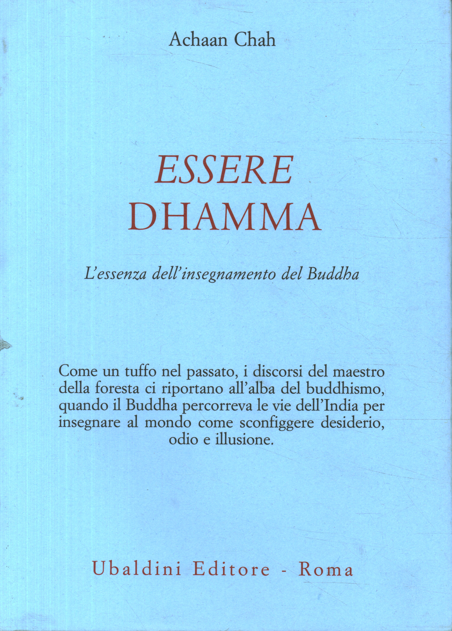 Dhamma sein