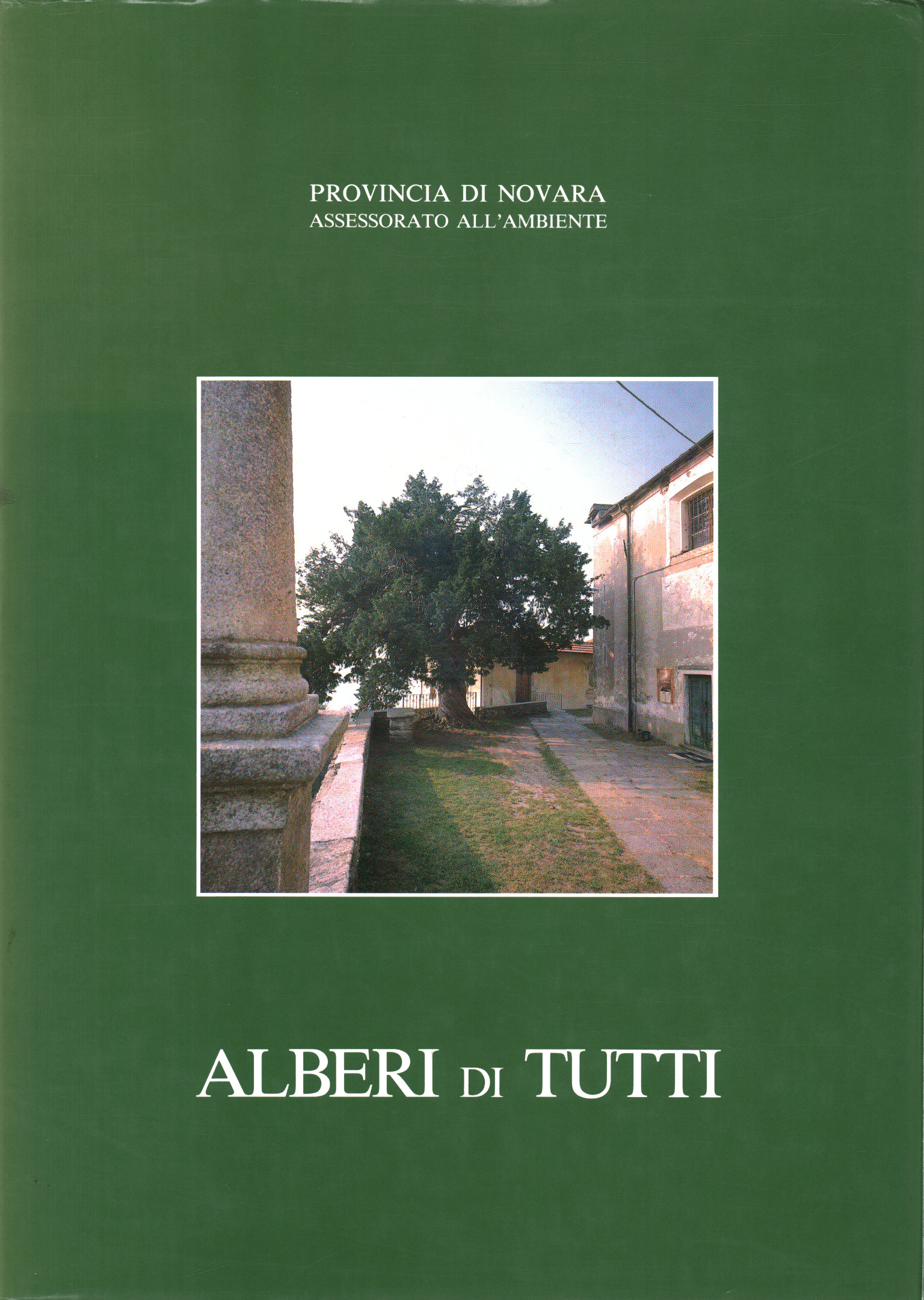 Alberi di tutti