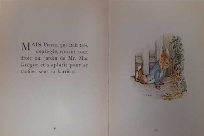 Geschichte von Pierre Lapin