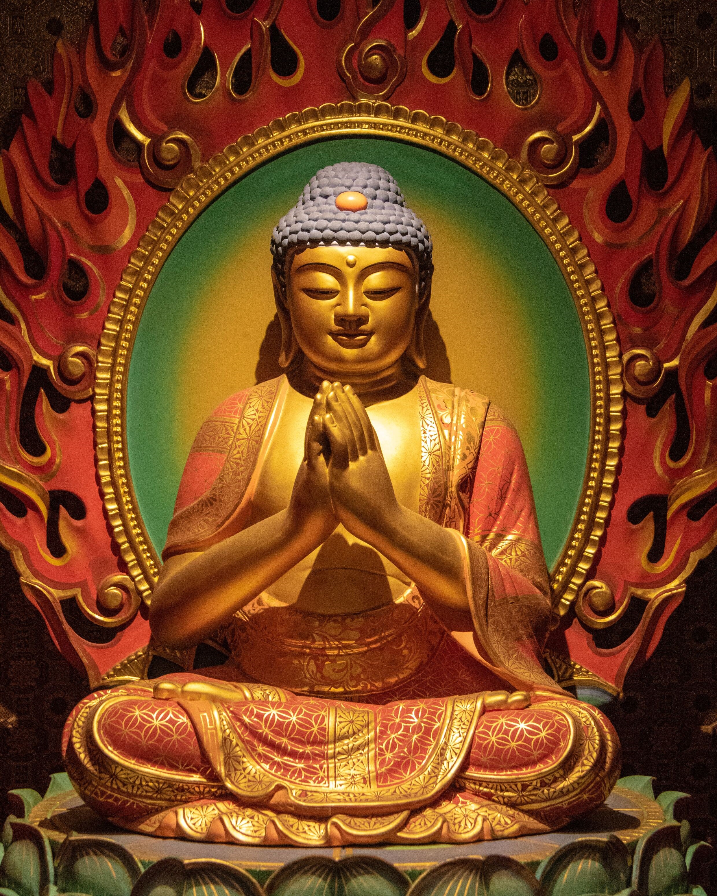 Buddhismo libreria online