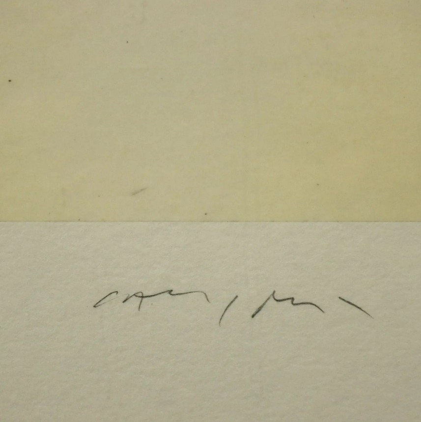 regali di natale luca caccioni