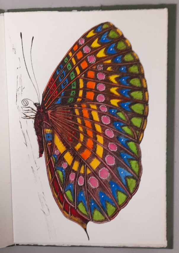 Regalo di natale libro Farfalle Fantasiose